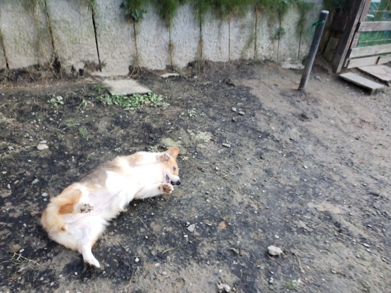 f:id:roukenhome-ann:20191112194556j:plain