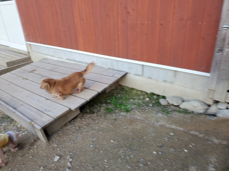 f:id:roukenhome-ann:20191112200317j:plain