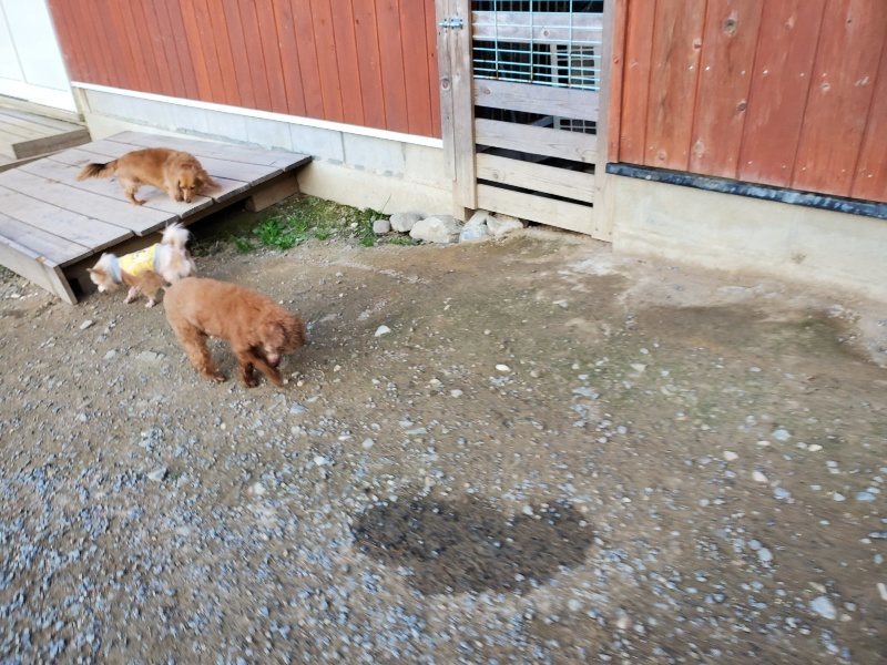 f:id:roukenhome-ann:20191112200403j:plain