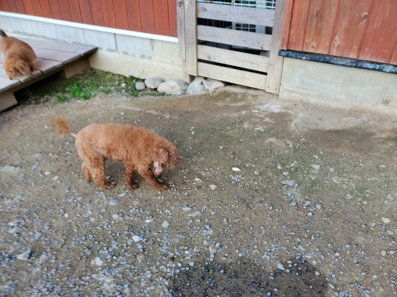 f:id:roukenhome-ann:20191112200409j:plain