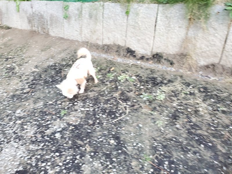 f:id:roukenhome-ann:20191112200418j:plain