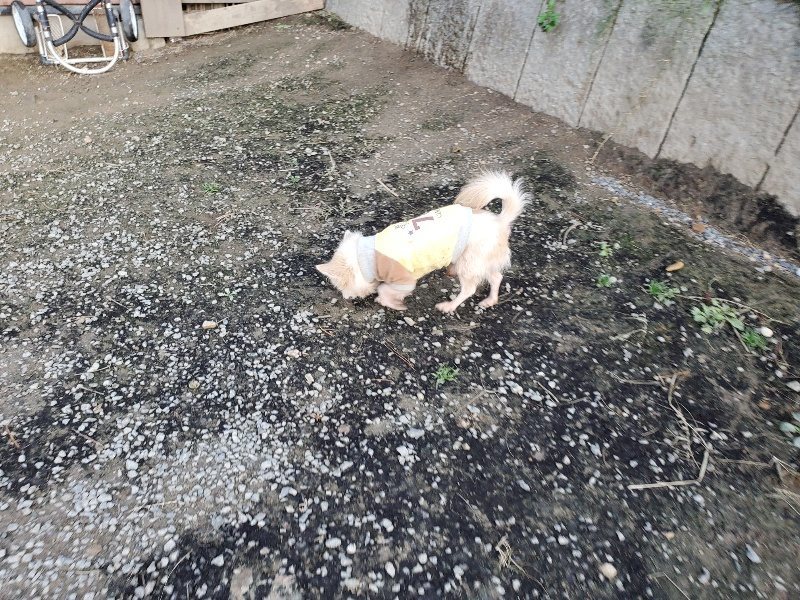 f:id:roukenhome-ann:20191112200429j:plain