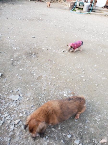 f:id:roukenhome-ann:20191112202216j:plain