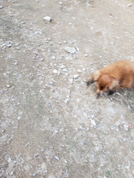 f:id:roukenhome-ann:20191112202222j:plain