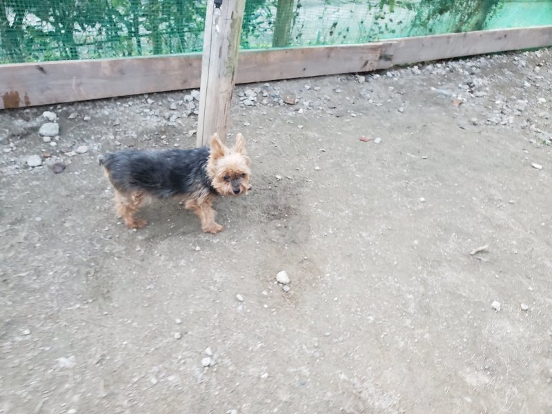 f:id:roukenhome-ann:20191112202229j:plain