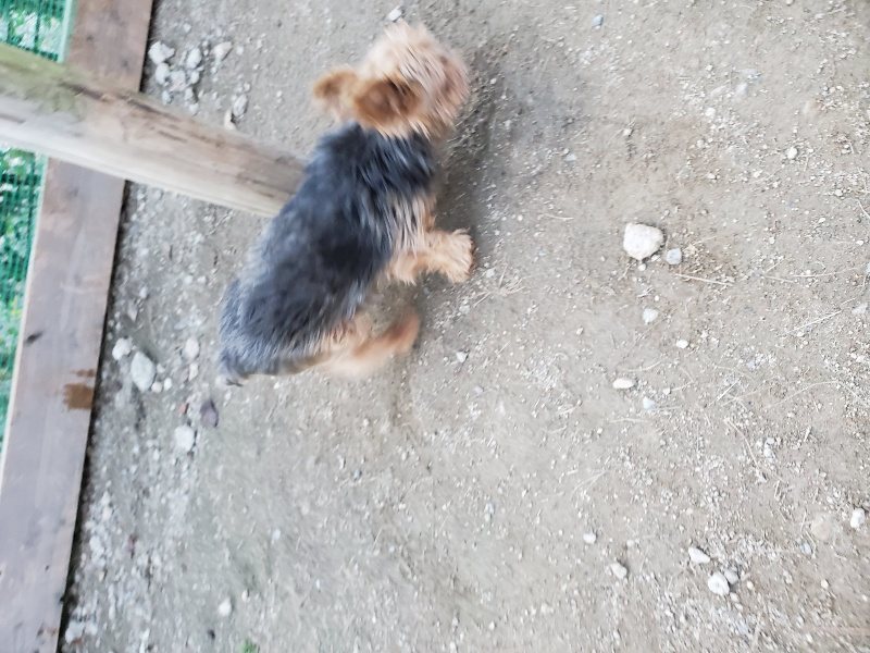 f:id:roukenhome-ann:20191112202238j:plain