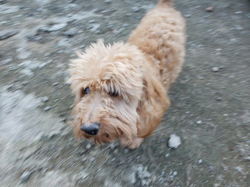 f:id:roukenhome-ann:20191112202314j:plain