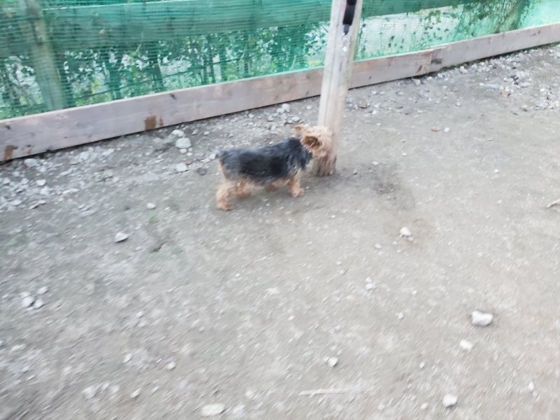 f:id:roukenhome-ann:20191112202321j:plain