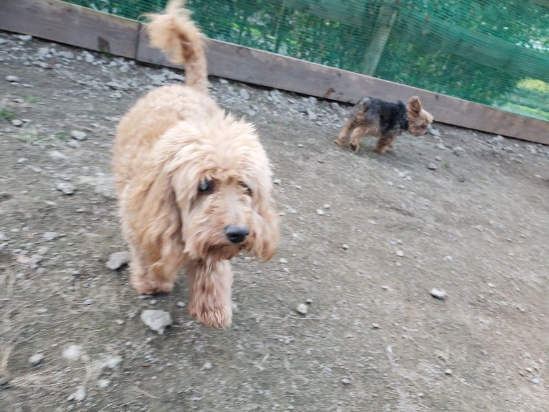 f:id:roukenhome-ann:20191112202329j:plain