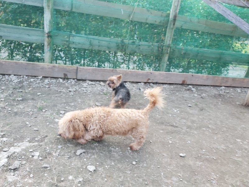 f:id:roukenhome-ann:20191112202336j:plain
