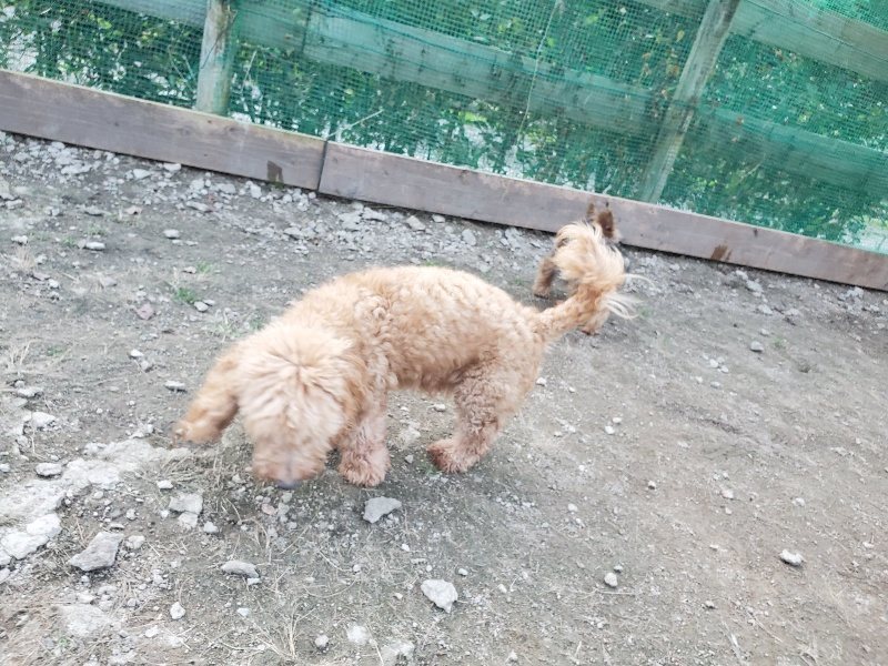 f:id:roukenhome-ann:20191112202342j:plain
