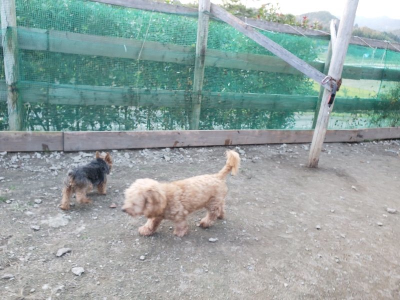 f:id:roukenhome-ann:20191112202352j:plain