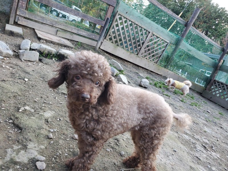 f:id:roukenhome-ann:20191112202402j:plain