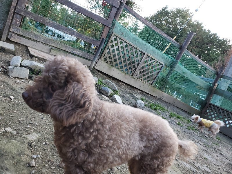f:id:roukenhome-ann:20191112202423j:plain