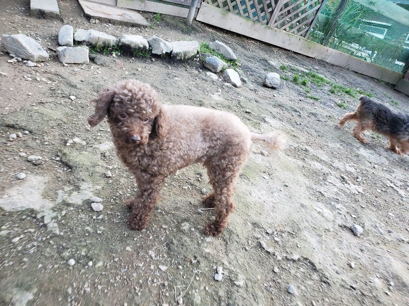 f:id:roukenhome-ann:20191112202433j:plain