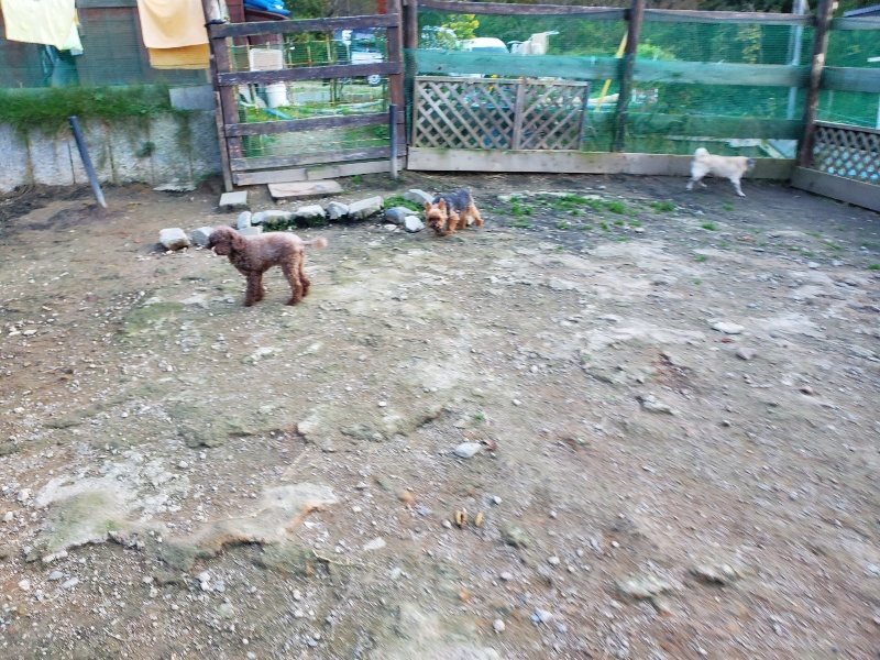 f:id:roukenhome-ann:20191112202452j:plain