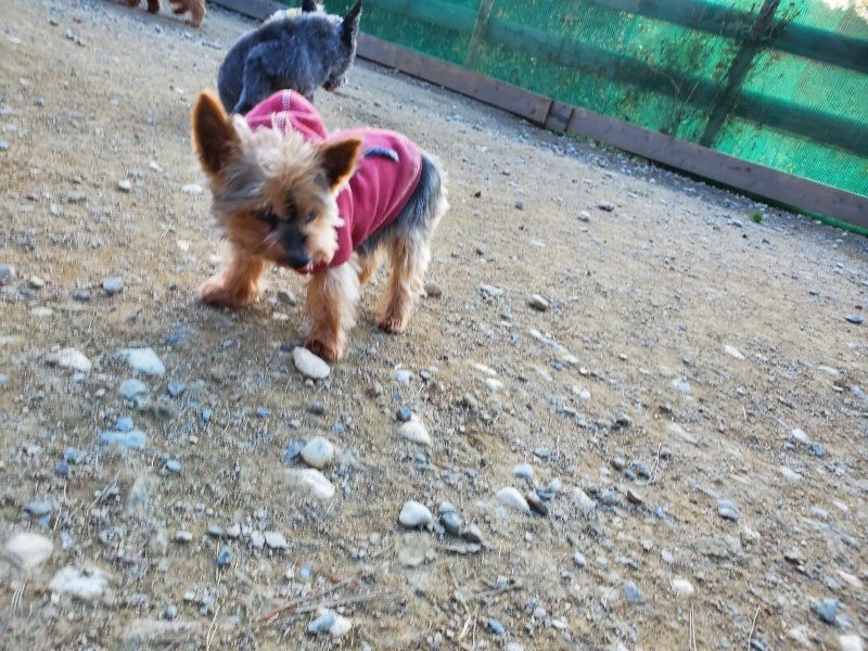 f:id:roukenhome-ann:20191112202626j:plain