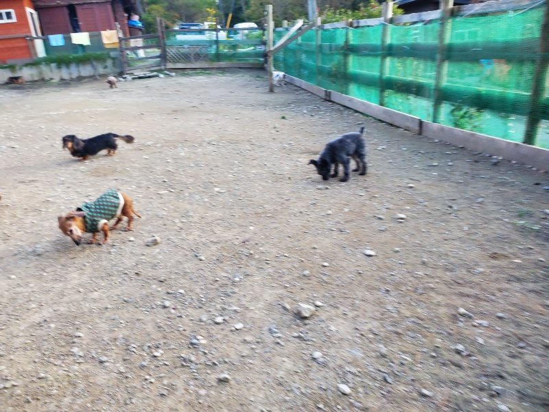 f:id:roukenhome-ann:20191112203807j:plain