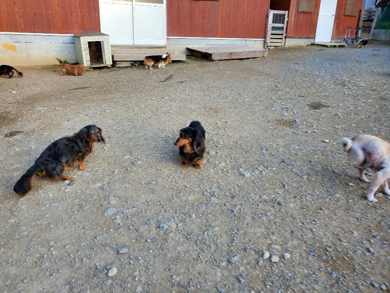 f:id:roukenhome-ann:20191112203939j:plain