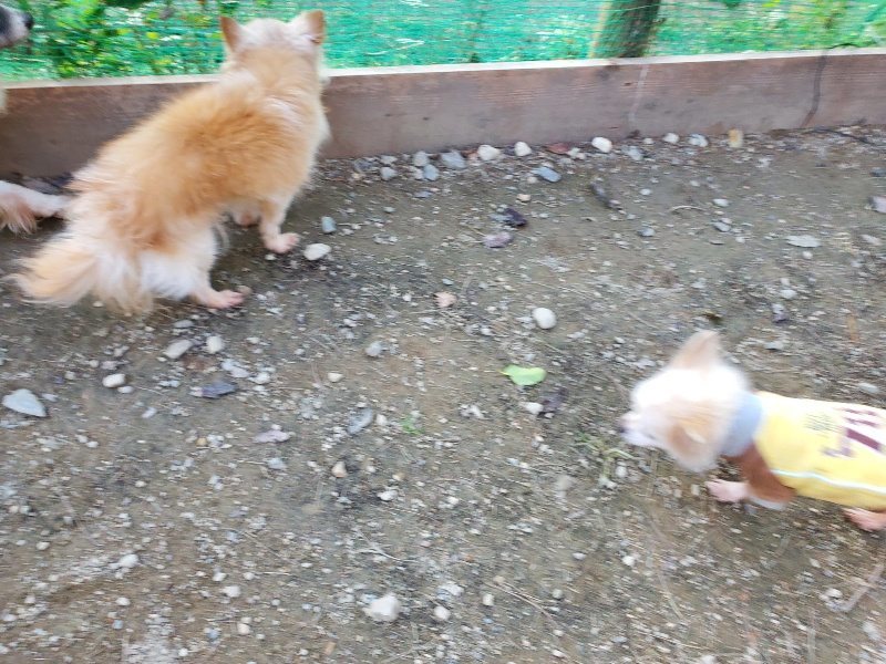 f:id:roukenhome-ann:20191112204005j:plain