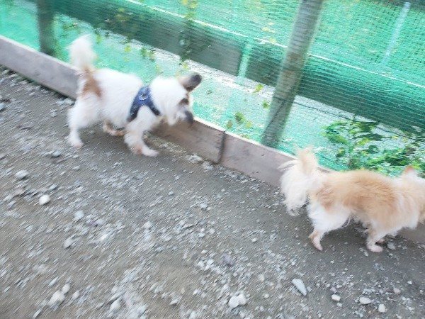 f:id:roukenhome-ann:20191112204033j:plain