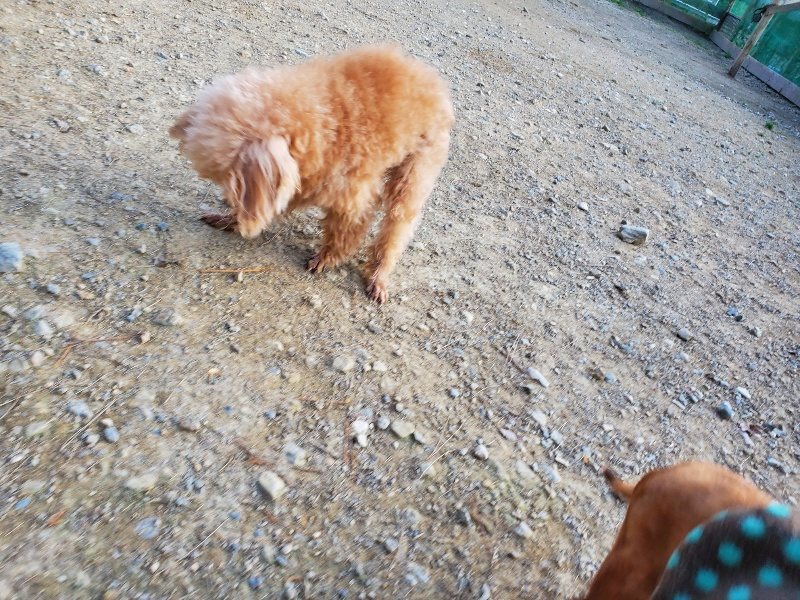 f:id:roukenhome-ann:20191112204135j:plain
