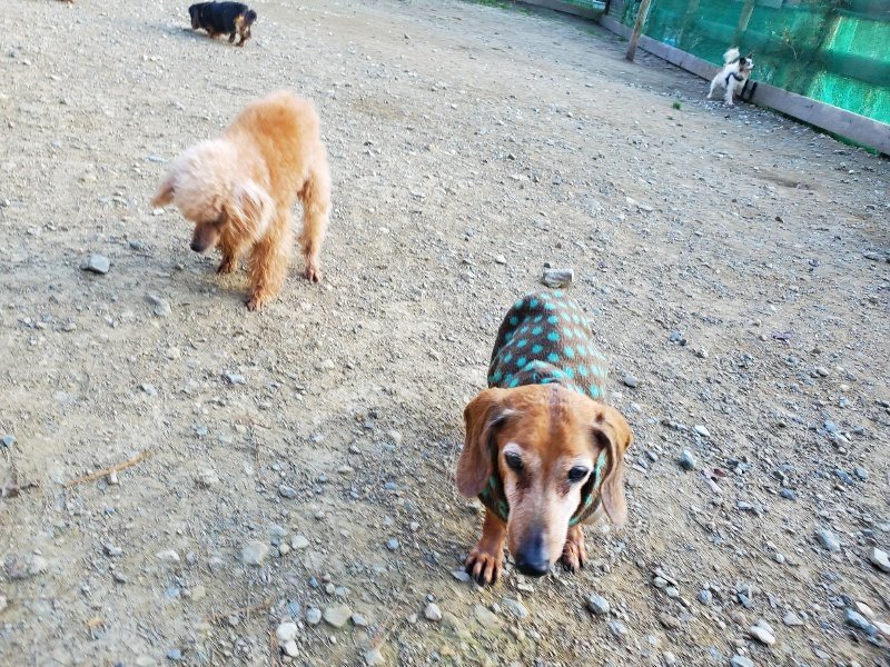 f:id:roukenhome-ann:20191112204212j:plain