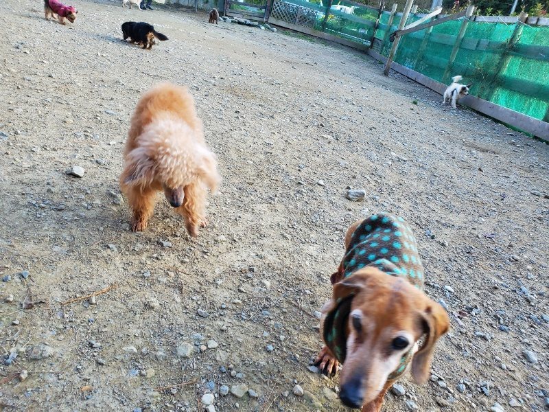 f:id:roukenhome-ann:20191112204232j:plain