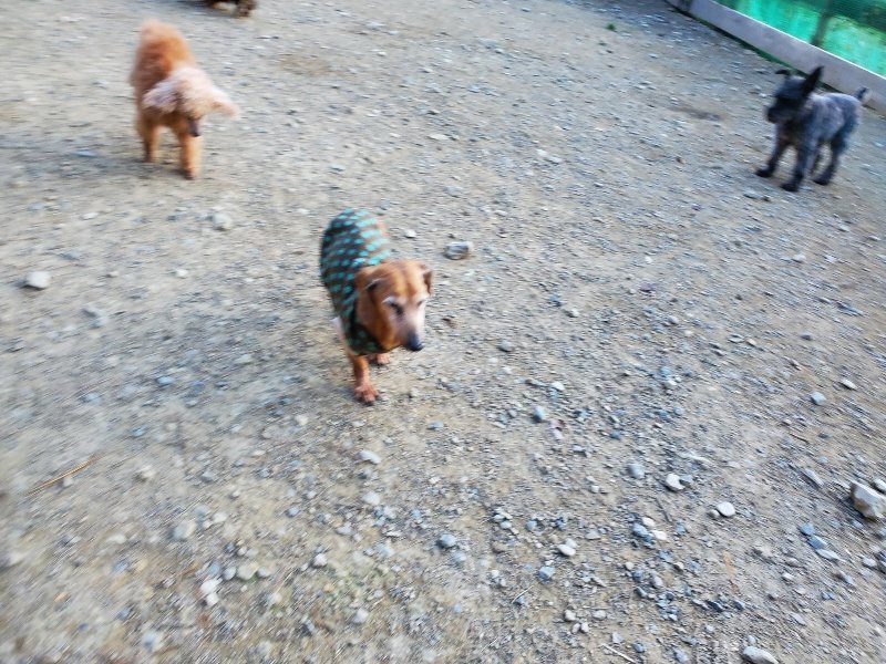f:id:roukenhome-ann:20191112204248j:plain