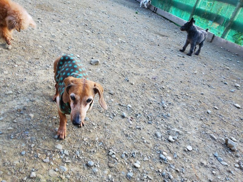 f:id:roukenhome-ann:20191112204257j:plain