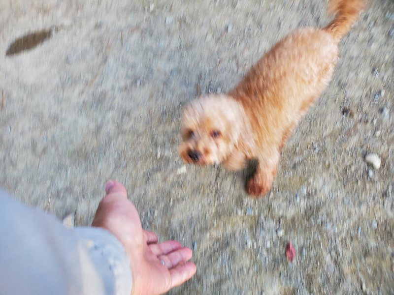 f:id:roukenhome-ann:20191112204315j:plain