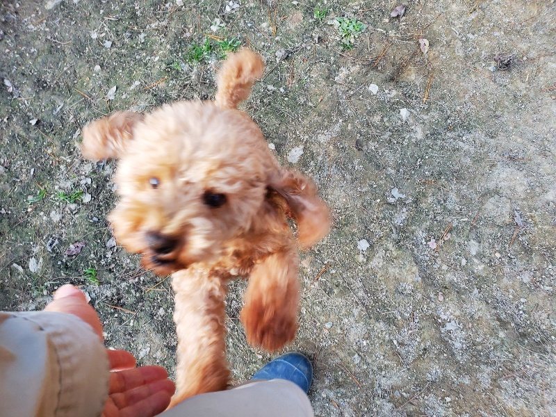 f:id:roukenhome-ann:20191112204326j:plain