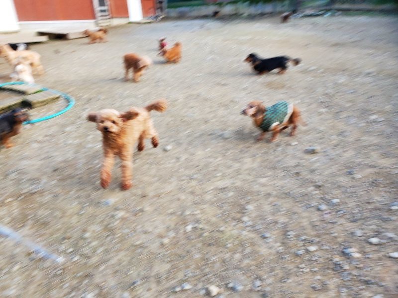 f:id:roukenhome-ann:20191112204332j:plain