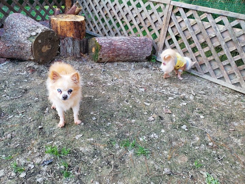 f:id:roukenhome-ann:20191112210627j:plain