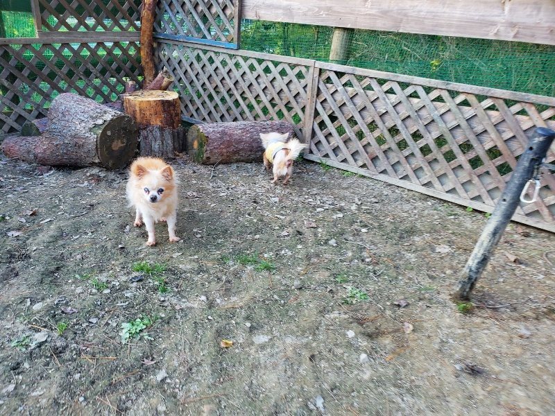 f:id:roukenhome-ann:20191112210646j:plain
