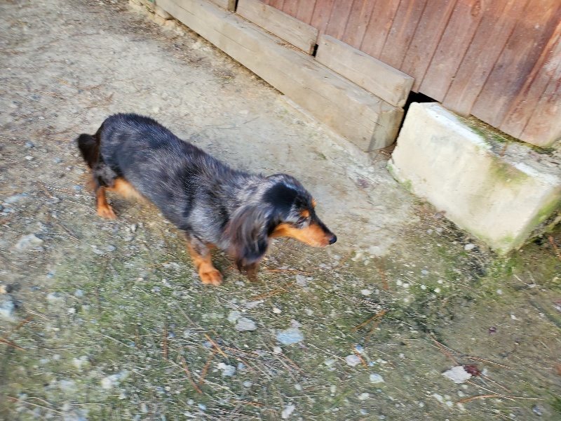 f:id:roukenhome-ann:20191112210702j:plain