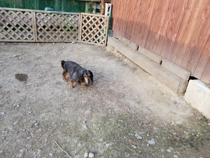 f:id:roukenhome-ann:20191112210746j:plain