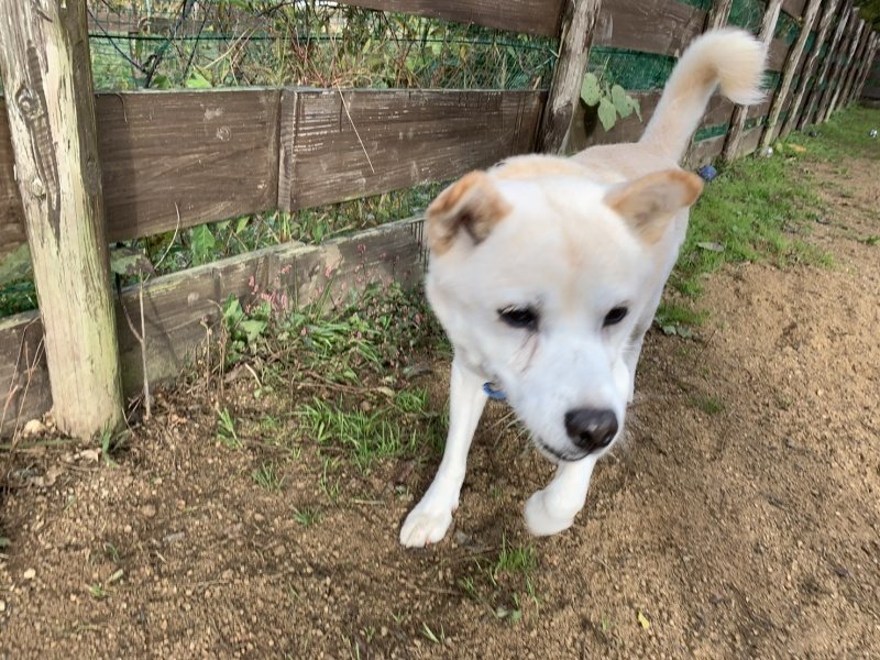 f:id:roukenhome-ann:20191112210852j:plain