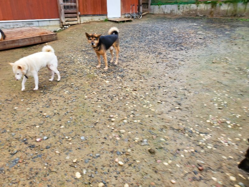 f:id:roukenhome-ann:20191114142102j:plain