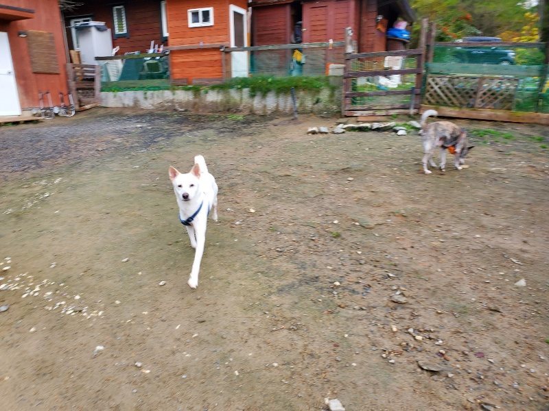 f:id:roukenhome-ann:20191114142256j:plain