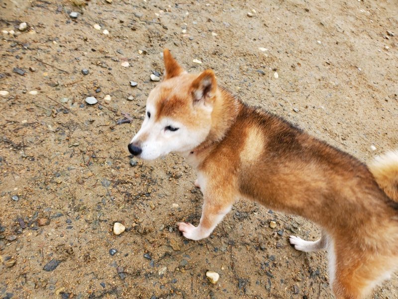 f:id:roukenhome-ann:20191114142445j:plain