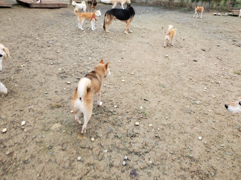 f:id:roukenhome-ann:20191114142453j:plain