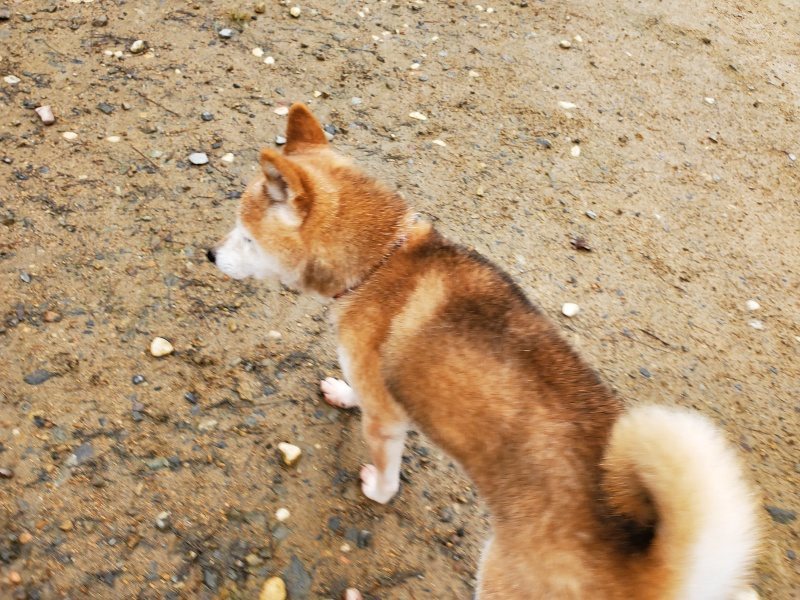 f:id:roukenhome-ann:20191114142504j:plain