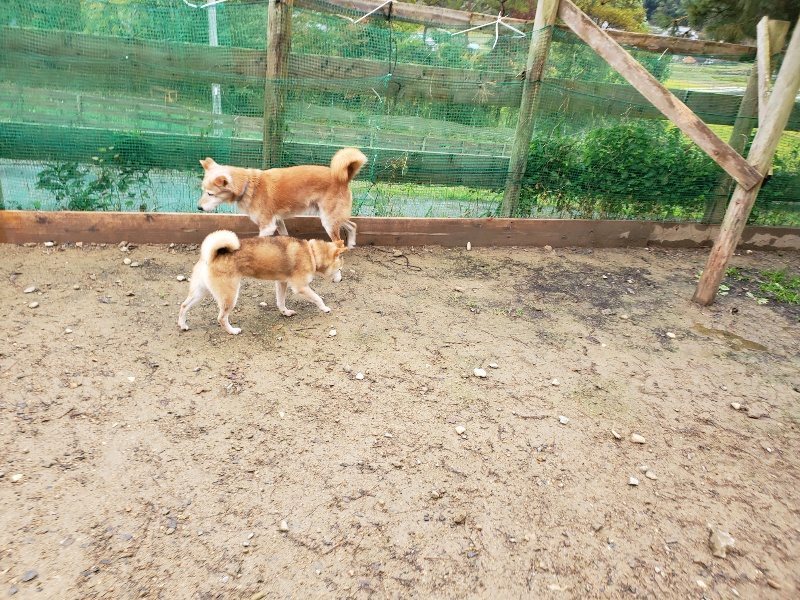 f:id:roukenhome-ann:20191114142608j:plain