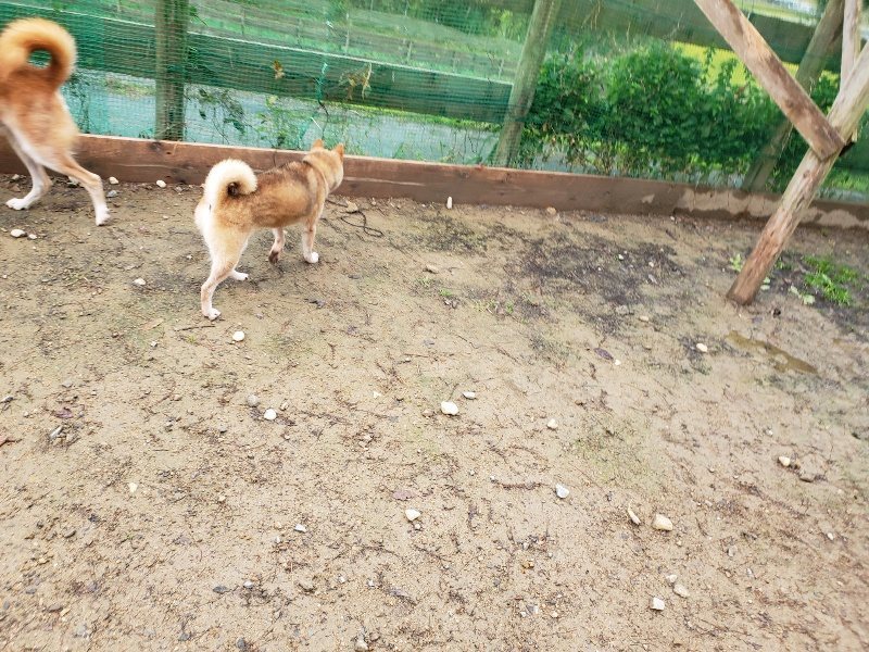 f:id:roukenhome-ann:20191114142625j:plain