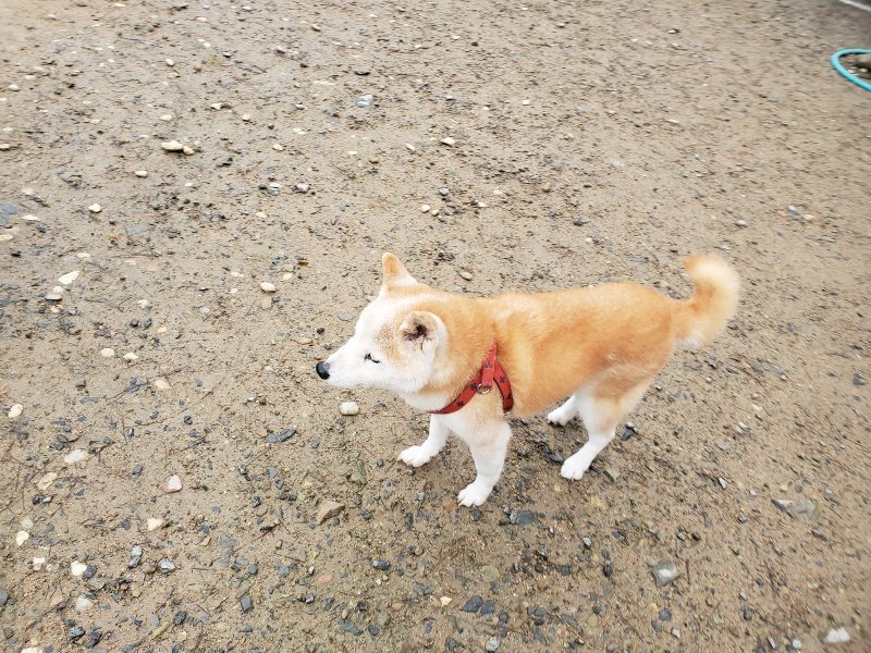 f:id:roukenhome-ann:20191114142648j:plain