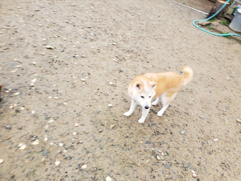 f:id:roukenhome-ann:20191114142722j:plain