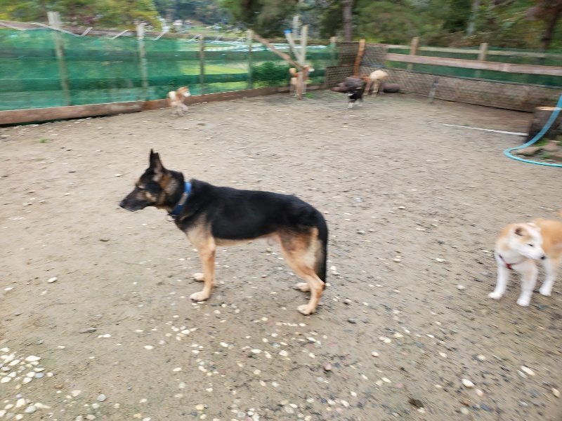 f:id:roukenhome-ann:20191114142731j:plain