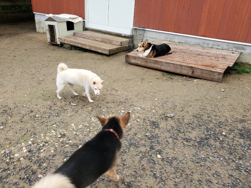 f:id:roukenhome-ann:20191114142750j:plain