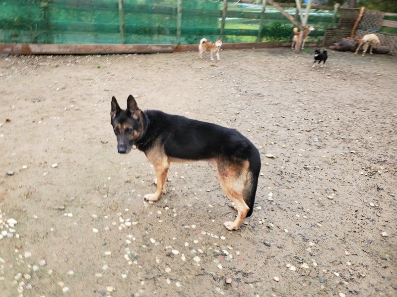 f:id:roukenhome-ann:20191114142803j:plain